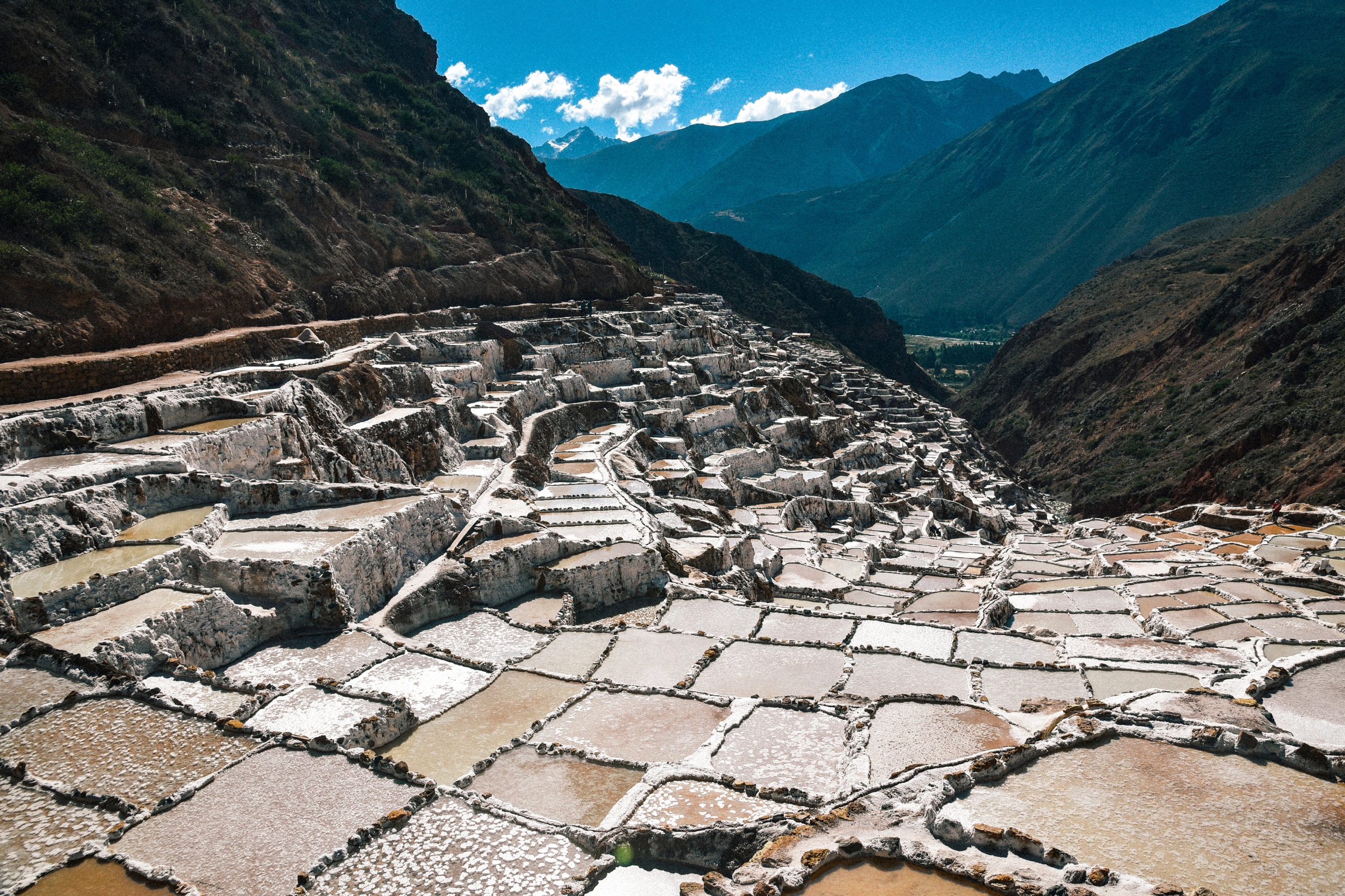 Maras[1].webp